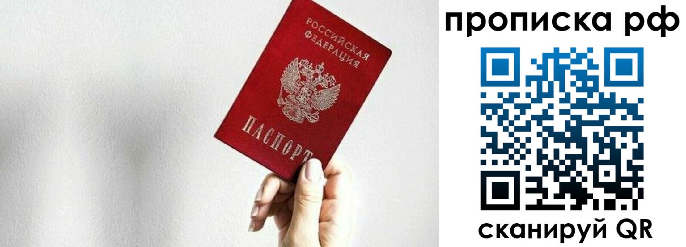 пропишу в квартире в Калининграде